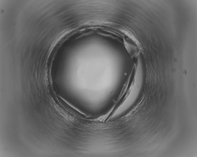 X0000072500976200608041437