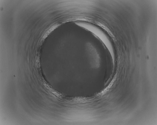 X0000072500977200608041437