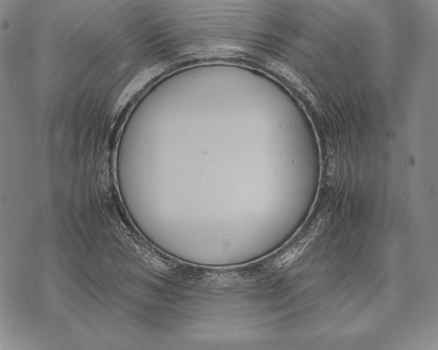 X0000072500978200608041437