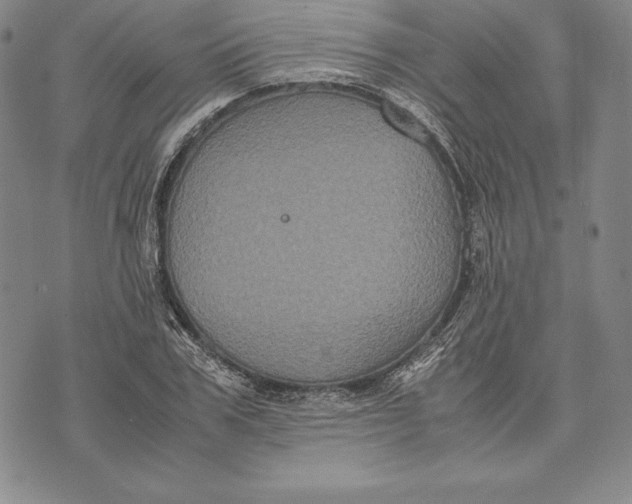 X0000072500979200608041437