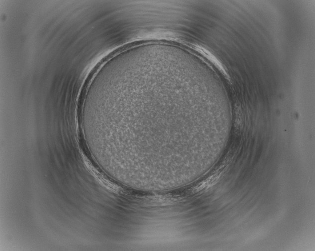 X0000072500980200608041437