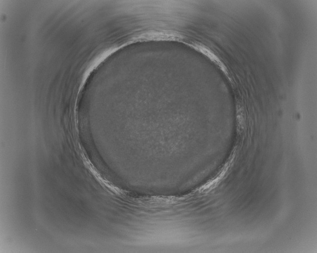 X0000072500981200608041437