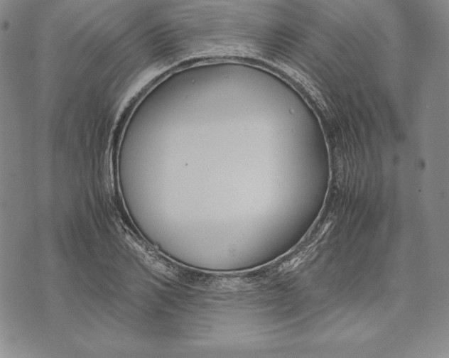 X0000072500982200608041437