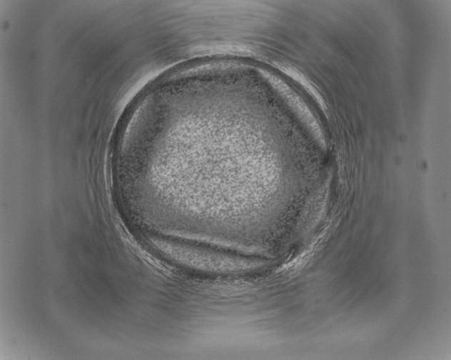 X0000072500983200608041437