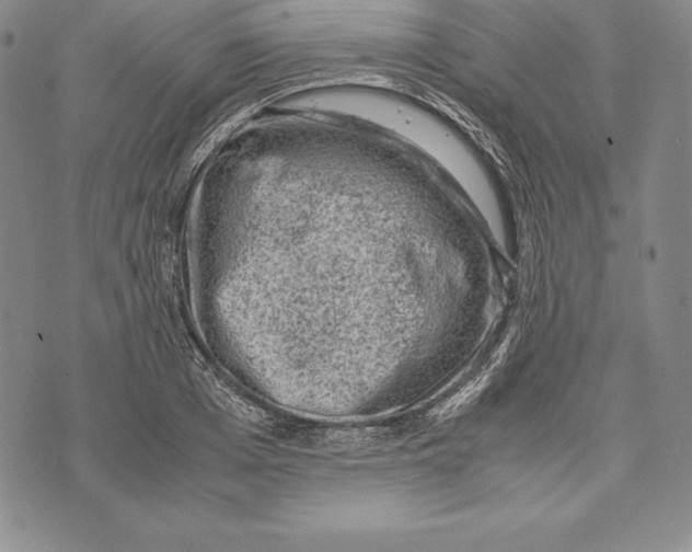 X0000072500985200608041437