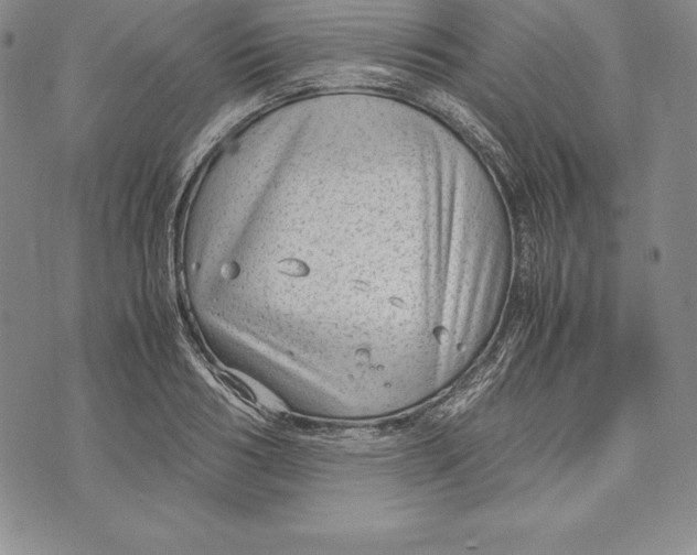 X0000072500986200608041437