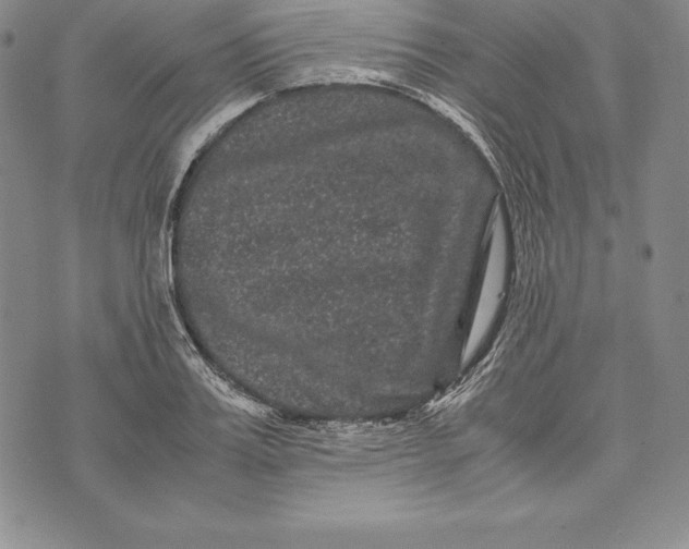 X0000072500987200608041437