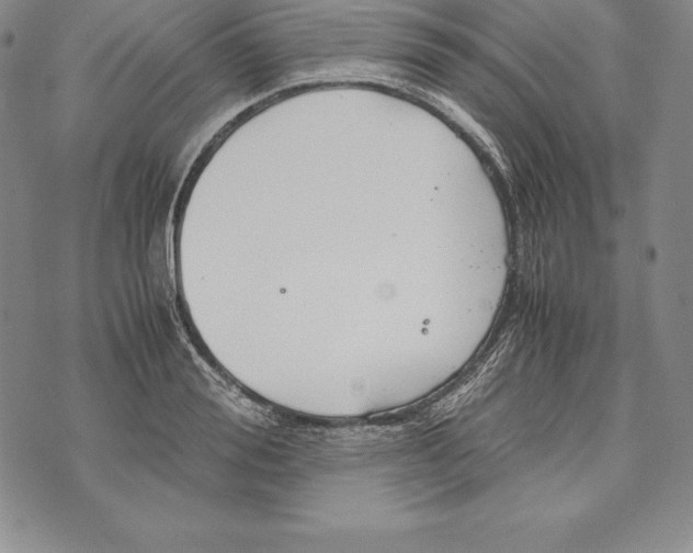 X0000072500988200608041437