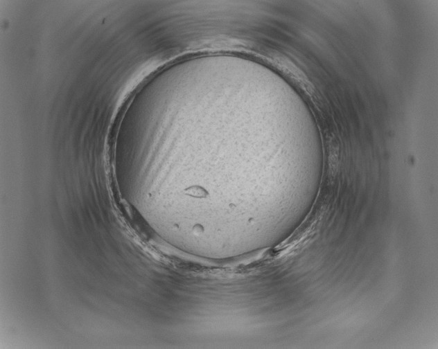 X0000072500990200608041437