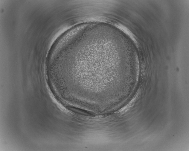 X0000072500991200608041437