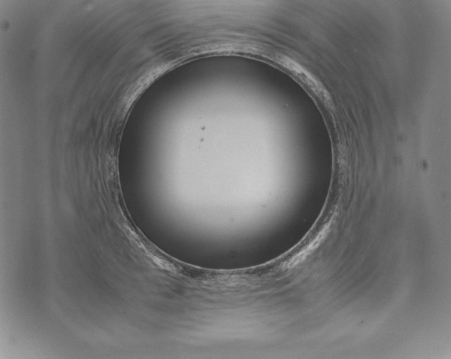 X0000072500993200608041437