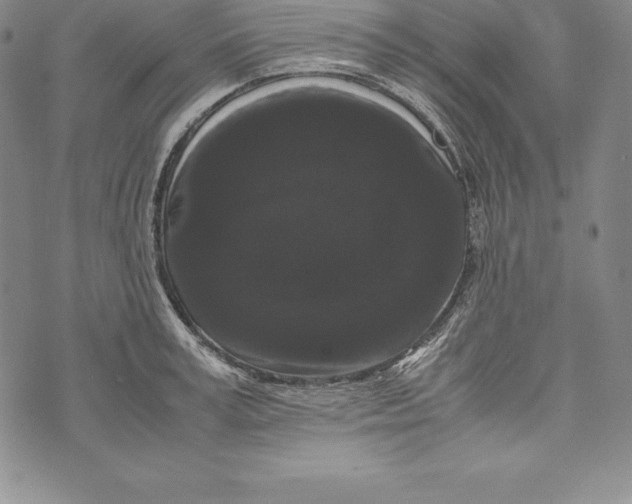 X0000072500995200608041437