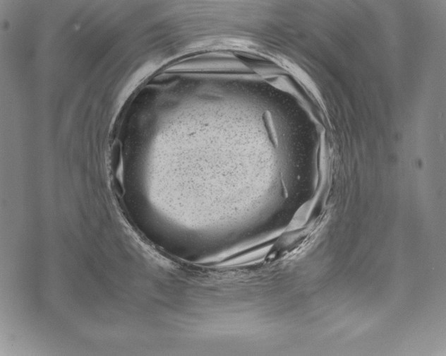 X0000072500997200608041436