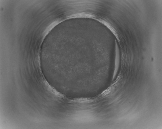 X0000072500998200608041436