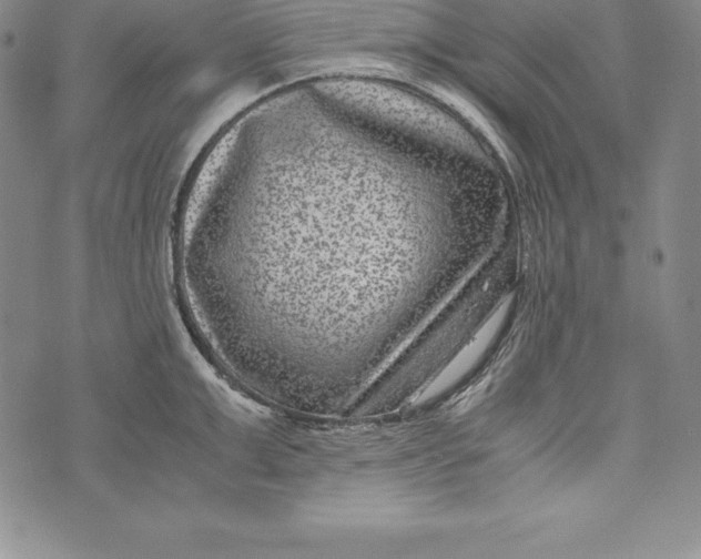 X0000072500999200608041436