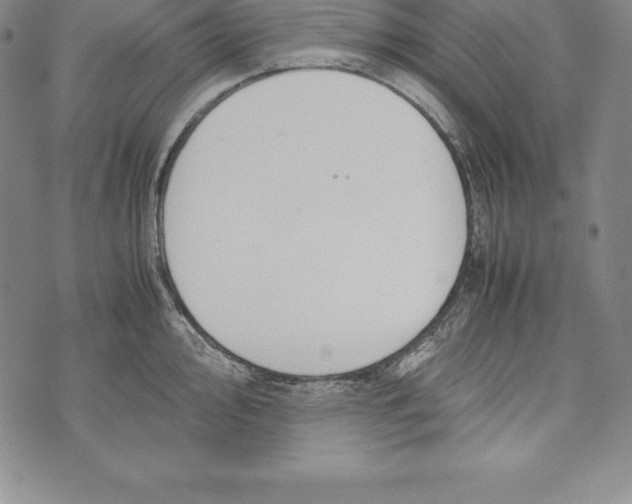 X0000072501000200608041436