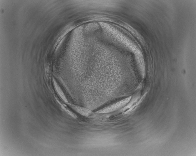 X0000072501001200608041436