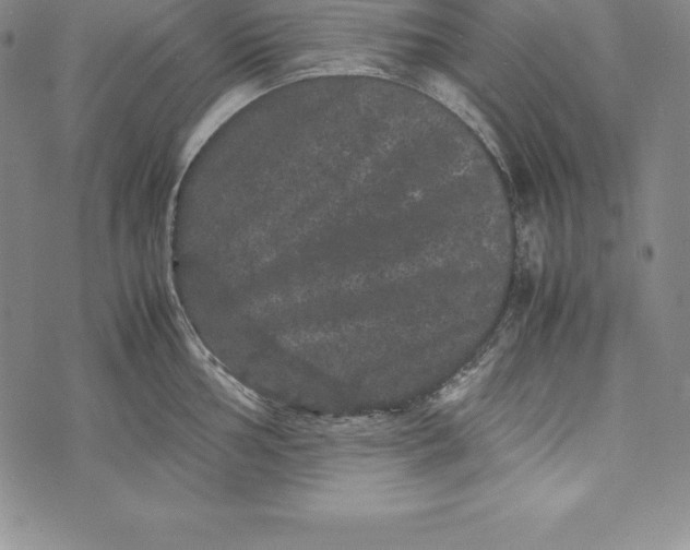 X0000072501002200608041436