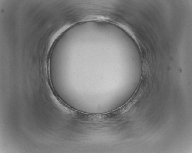 X0000072501003200608041436