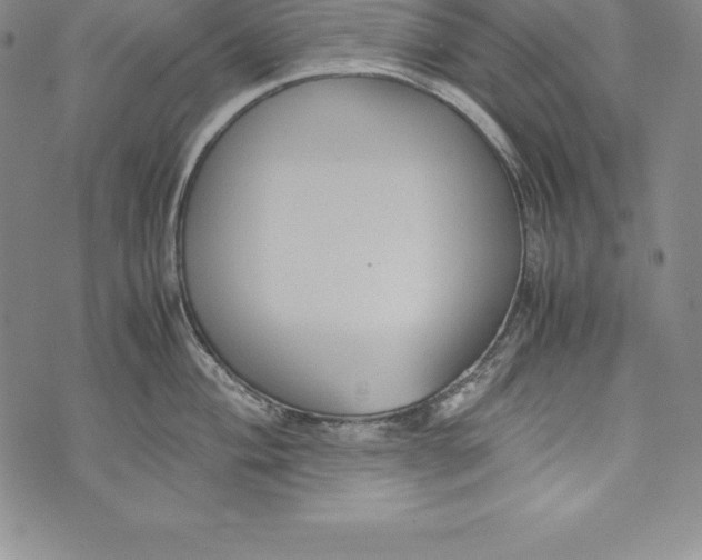 X0000072501004200608041436