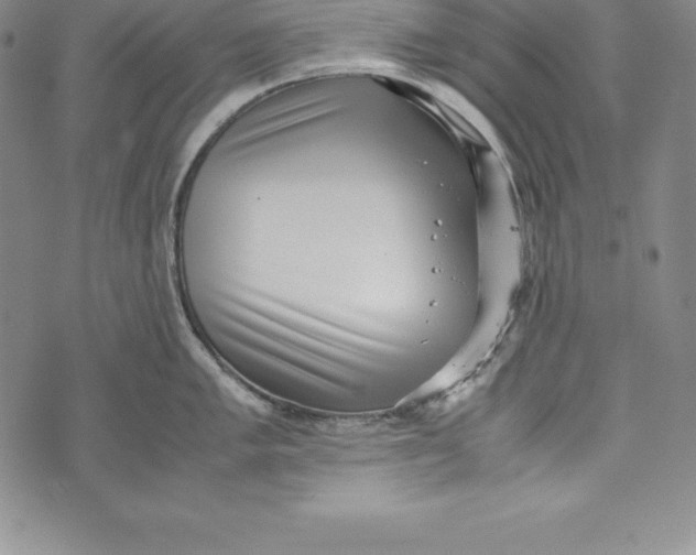 X0000072501005200608041436