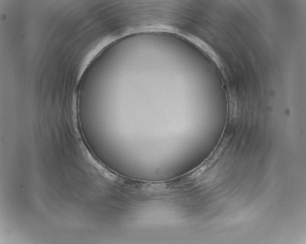 X0000072501006200608041436