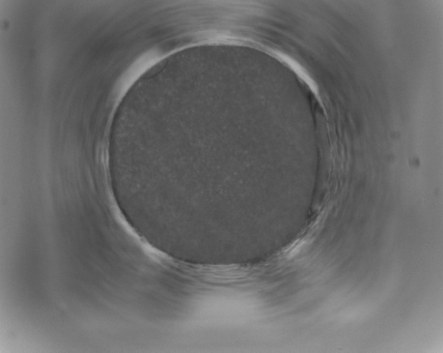 X0000072501007200608041436