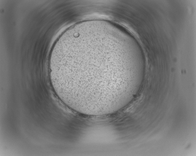 X0000072501008200608041436