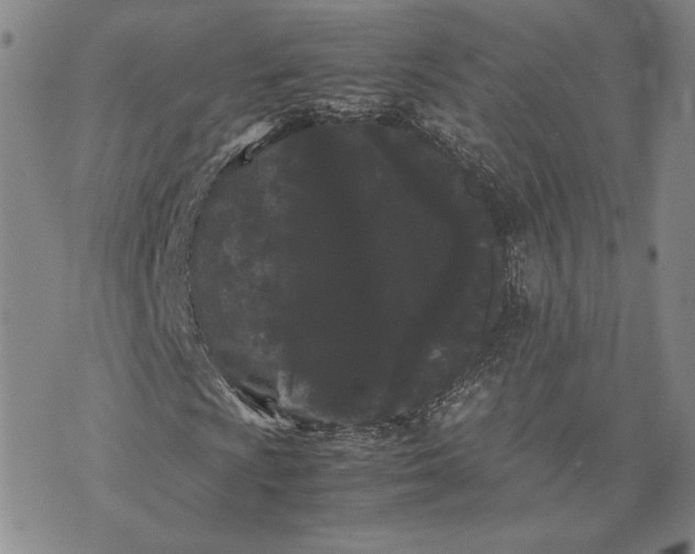 X0000072501009200608041435