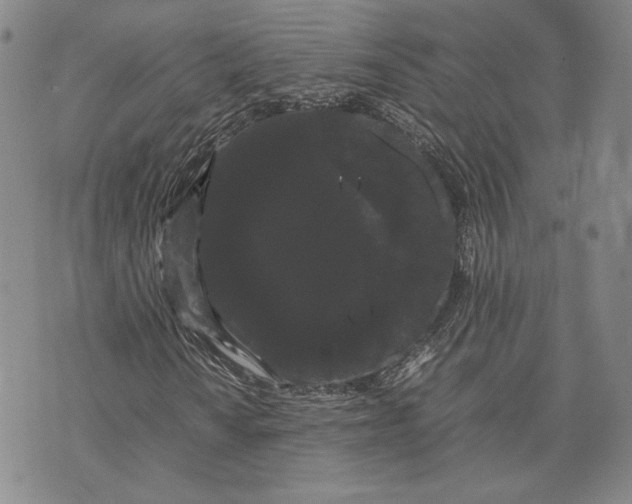 X0000072501010200608041436