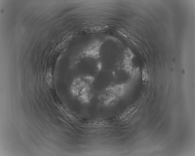 X0000072501011200608041436