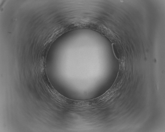 X0000072501012200608041436