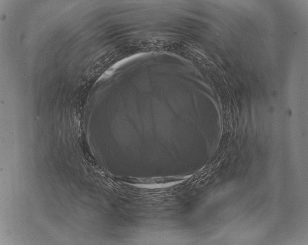 X0000072501013200608041436