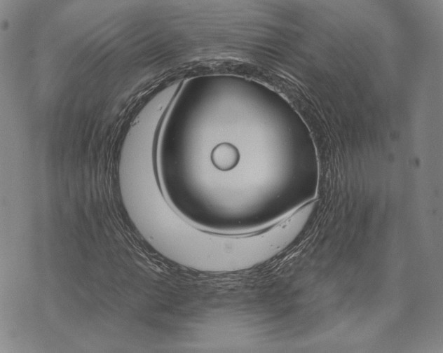 X0000072501014200608041436