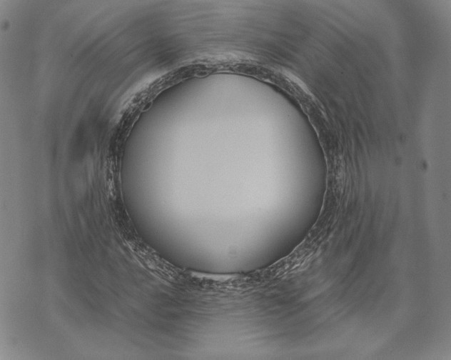 X0000072501016200608041436