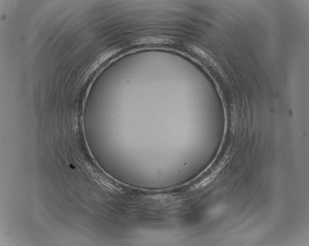 X0000072501017200608041436