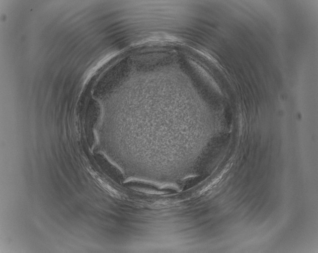 X0000072501018200608041436