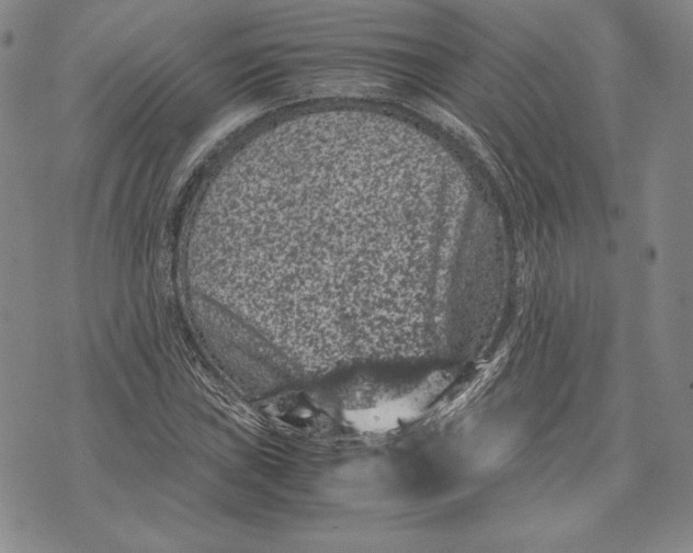 X0000072501019200608041436