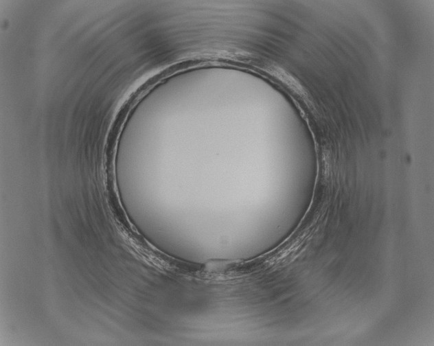 X0000072501020200608041436