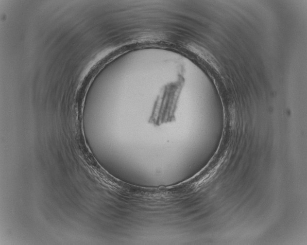 X0000072501021200608041436