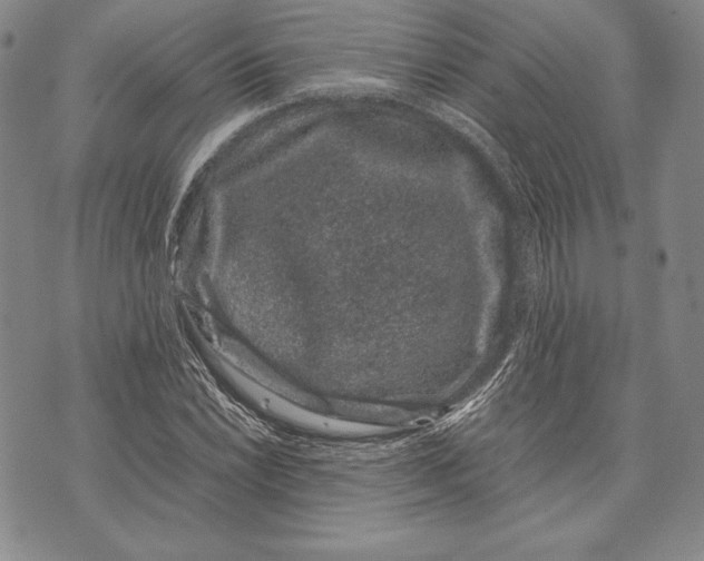 X0000072501022200608041436