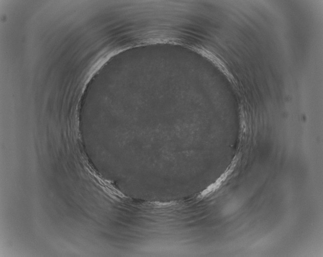 X0000072501023200608041436