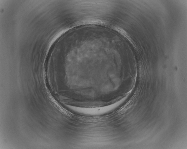 X0000072501024200608041436