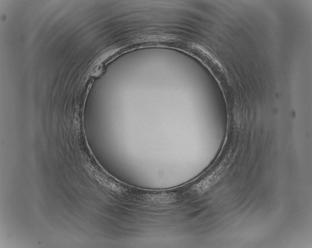 X0000072501025200608041436