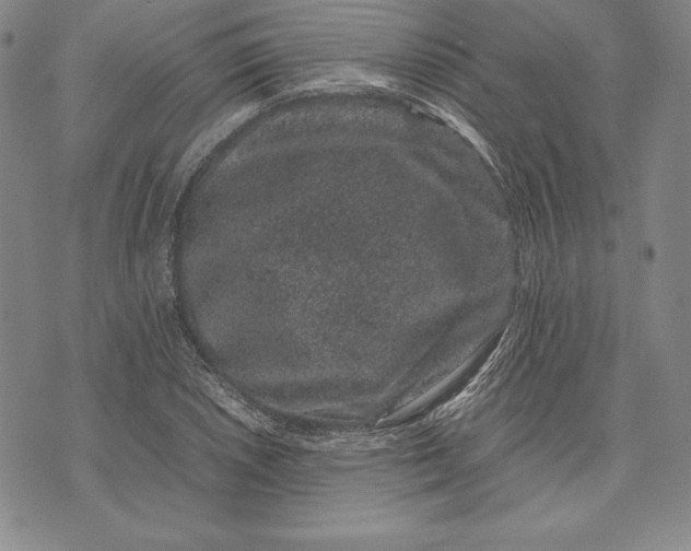 X0000072501026200608041436