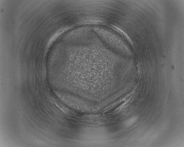 X0000072501027200608041436