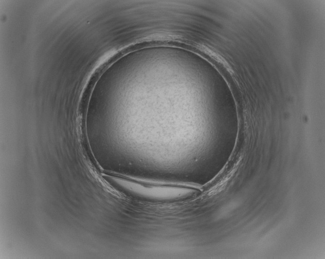 X0000072501029200608041436