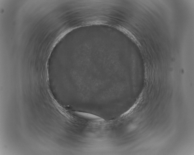 X0000072501031200608041436