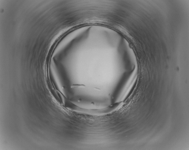 X0000072501032200608041436