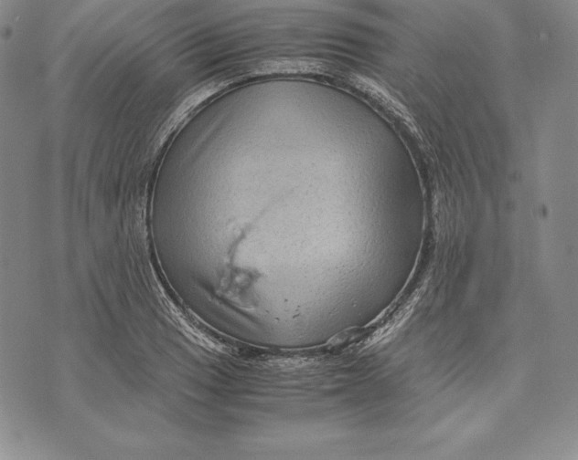 X0000072501033200608041436